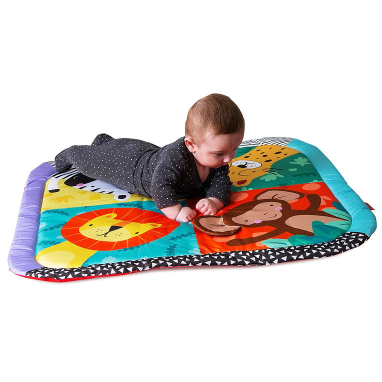 Red Kite Play Gym - Wild Safari