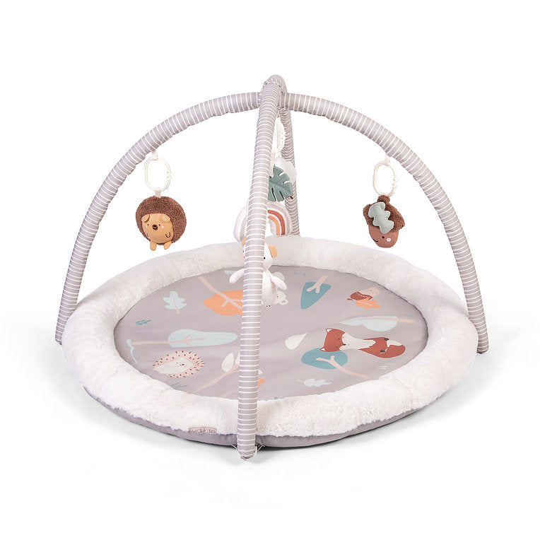Red Kite Play Gym - Woodland Walks