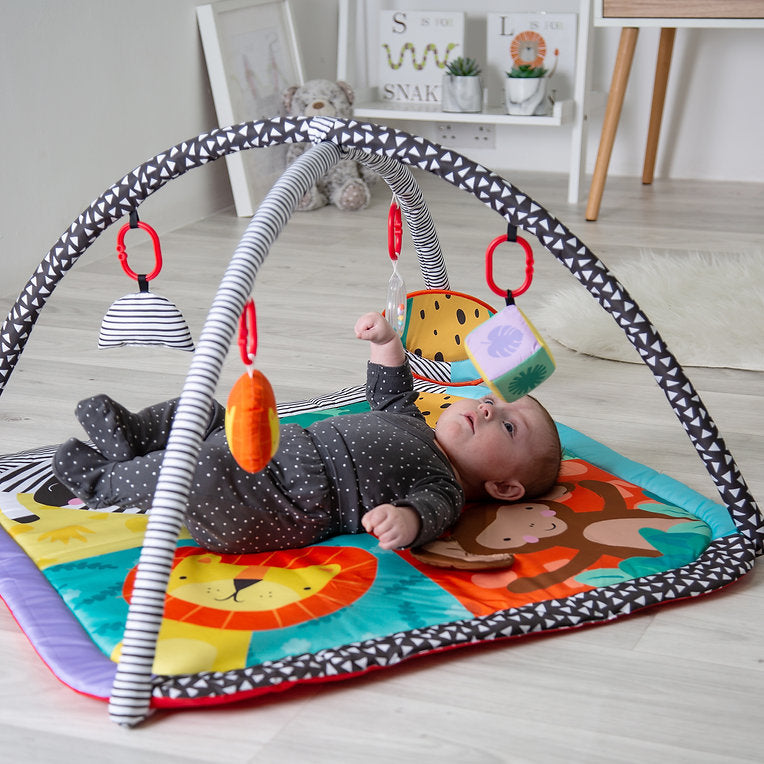 Red Kite Play Gym - Wild Safari
