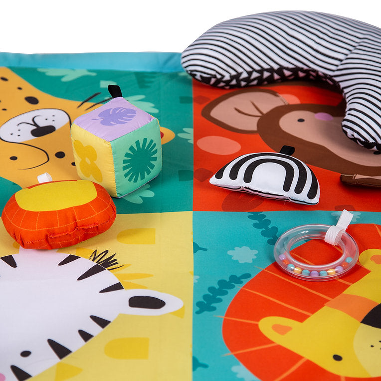 Red Kite Play Gym - Wild Safari